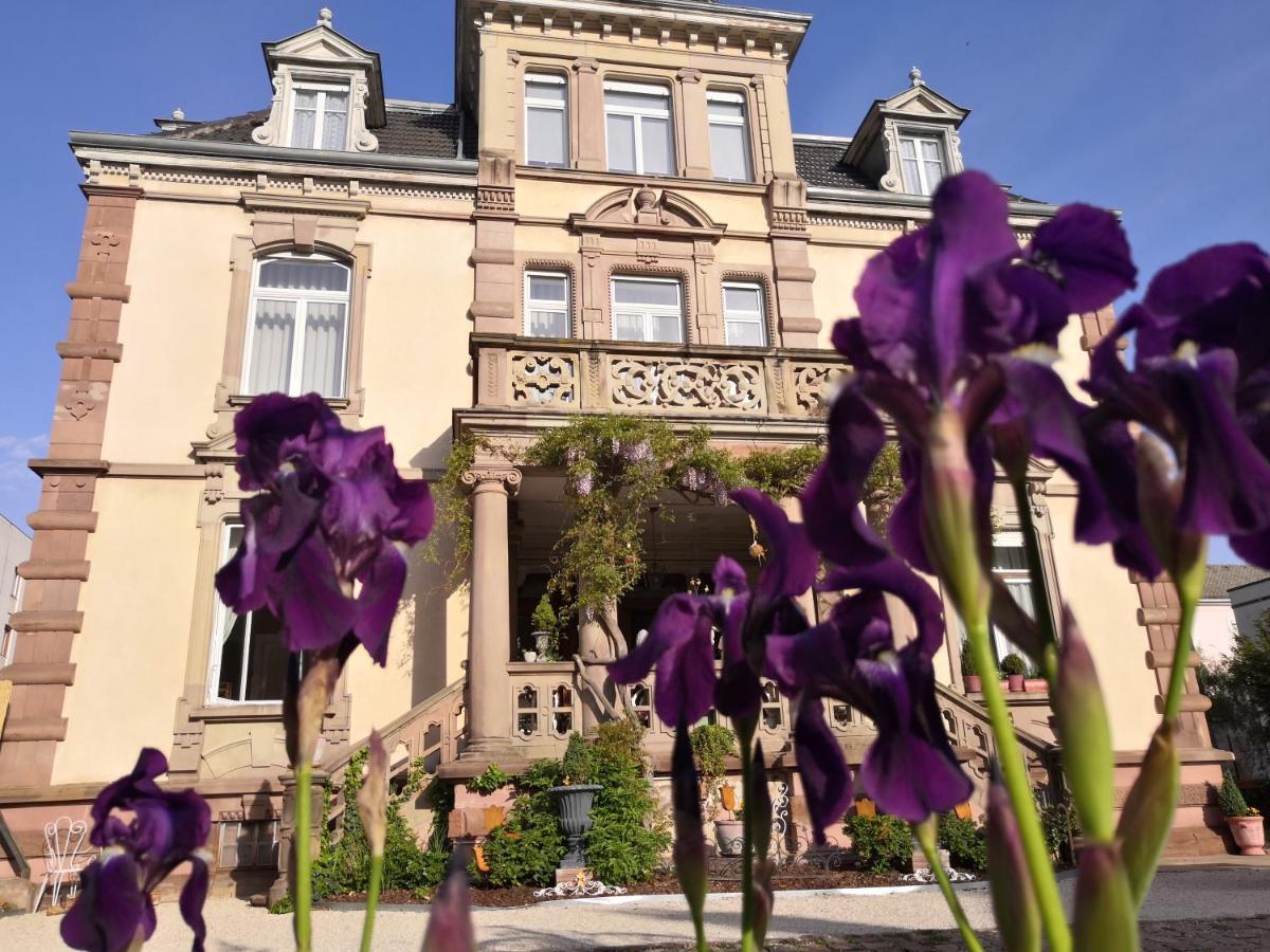 Castelnau Hotel Colmar Kültér fotó