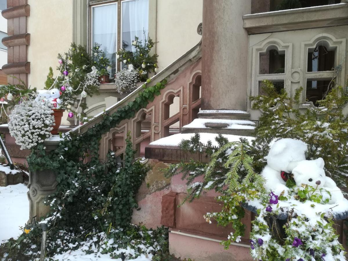 Castelnau Hotel Colmar Kültér fotó
