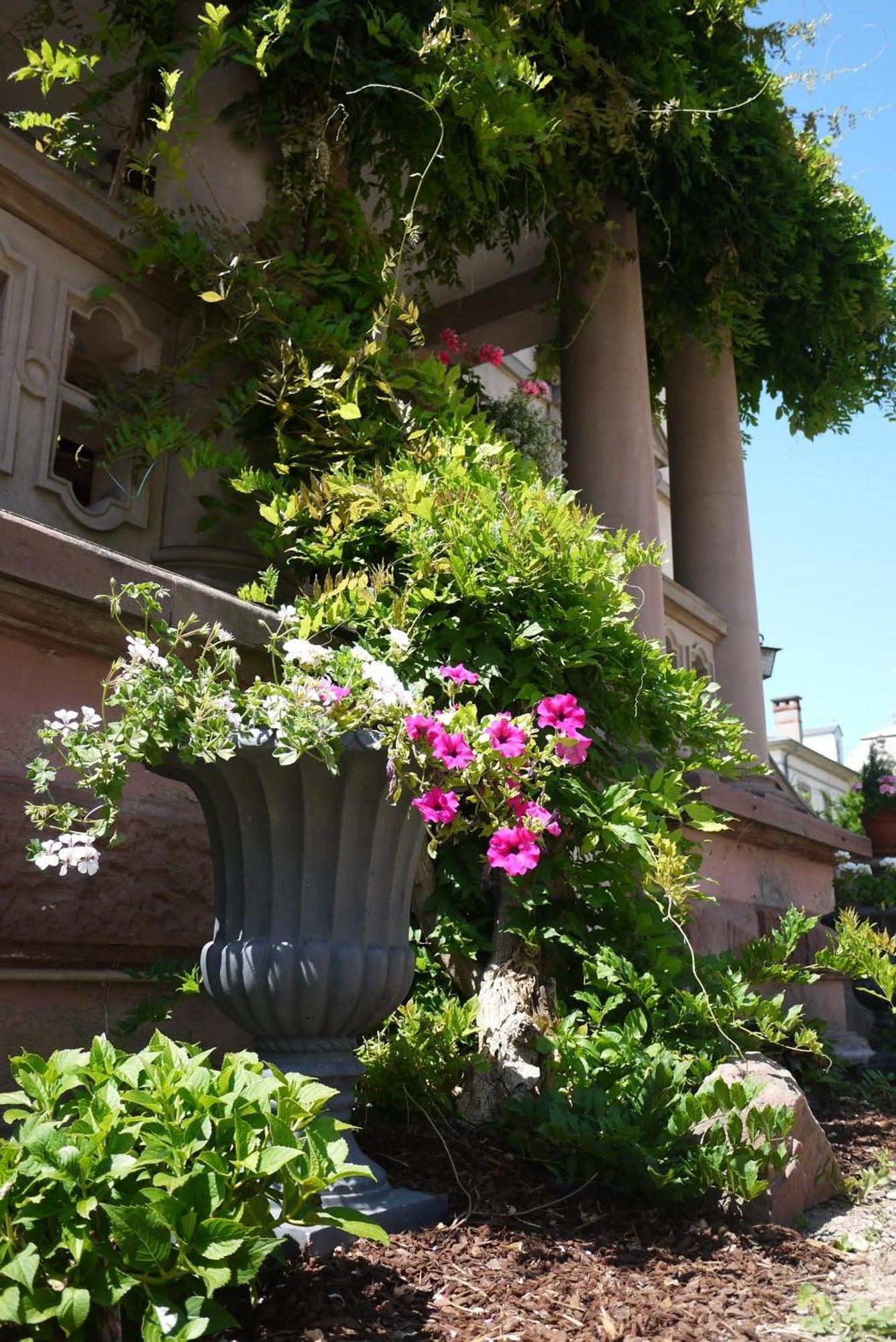 Castelnau Hotel Colmar Kültér fotó